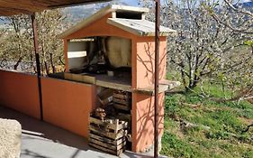 Apartman Ivan